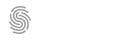 Singulare